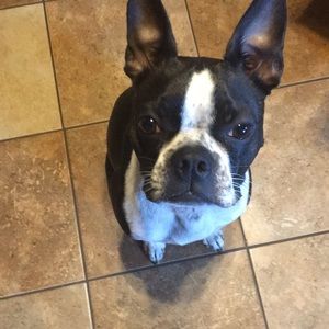 Meet your Posher, Sonya